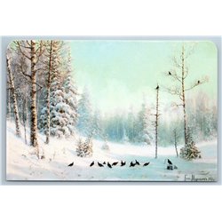 BLACK GROUSE on Bird Current Russian Snow Winter Landscape New Postcard