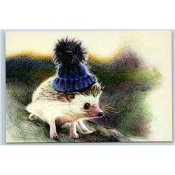LITTLE HEDGEHOG in knitted hat CUTE Funny Comic Russian New Postcard