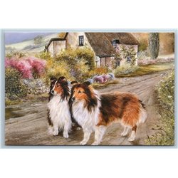 DOGS Puppy Collie Village by Shirley Deaville ANIMALS ART ~  Modern Postcard
