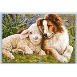 DOG & SHEEP Puppy Collie by Shirley Deaville ANIMALS ART ~  Modern Postcard