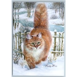 RED CAT walking in Winter Snow Garden Peasant Life New Postcard