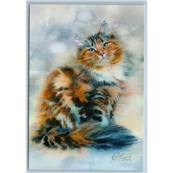 Tricolor CAT for luck Cute Ceremonial Portrait by Titova New Postcard 