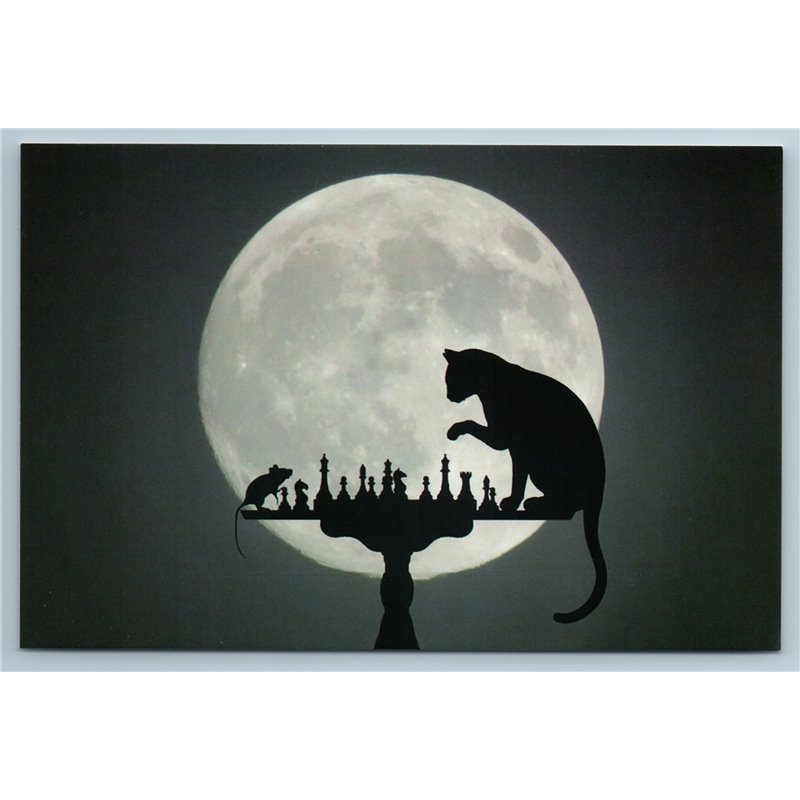 CAT and MOUSE play CHESS against background of a full moon in night New Postcard