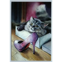 FUNNY CAT in Box Stiletto shoe Boxed Wardrobe Russian New Postcard