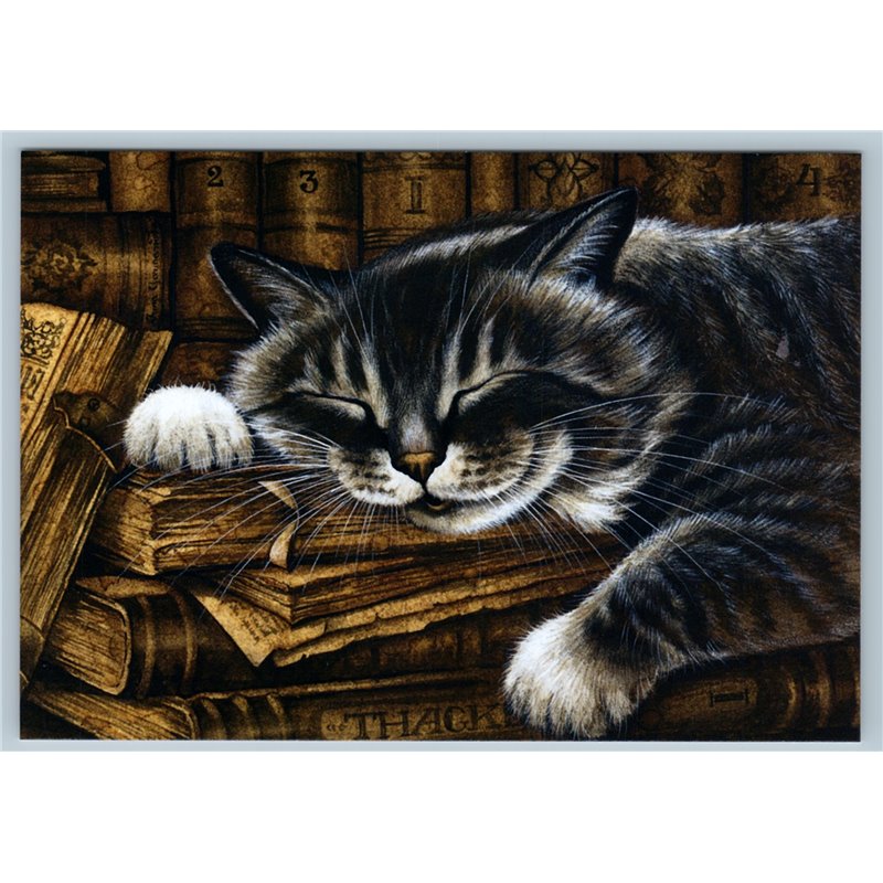 STRIPED CAT Tabby Book keeper in Library So cute Russian New Postcard