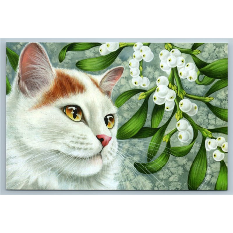 WHITE Red CAT amber eyes Botanical Flower Mistletoe Russian New Postcard