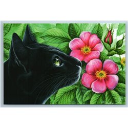 BLACK CAT green eyes in Garden Botanical Flowers Pink Rose Russian New Postcard