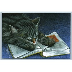 GRAY CAT sleeps on Book Tired Dream on carpet Russian New Postcard