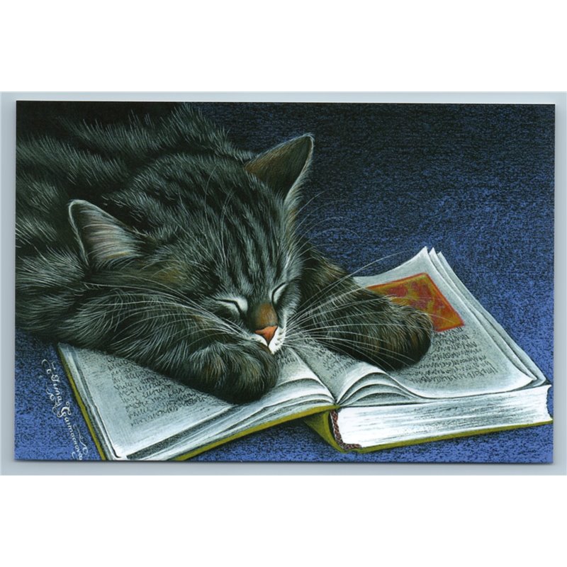 GRAY CAT sleeps on Book Tired Dream on carpet Russian New Postcard