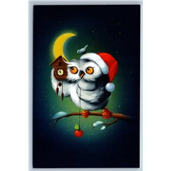WISE OWL and Cuckoo-clock MOON Fantasy Humor Russian Unposted Modern Postcard