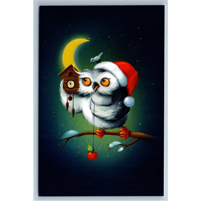 WISE OWL and Cuckoo-clock MOON Fantasy Humor Russian Unposted Modern Postcard