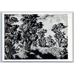 1958 OAKS Tree in Gauja National Park Latvia Woodcut Soviet USSR Postcard