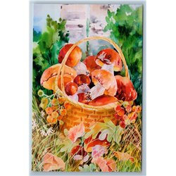 BASKET with MUSHROOMS Autumn Forest Harvest Russian New Postcard