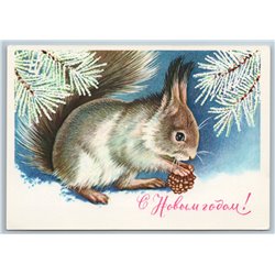 1981 SQUIRREL with Pine Snow Winter Forest New Year Russian Unposted Postcard