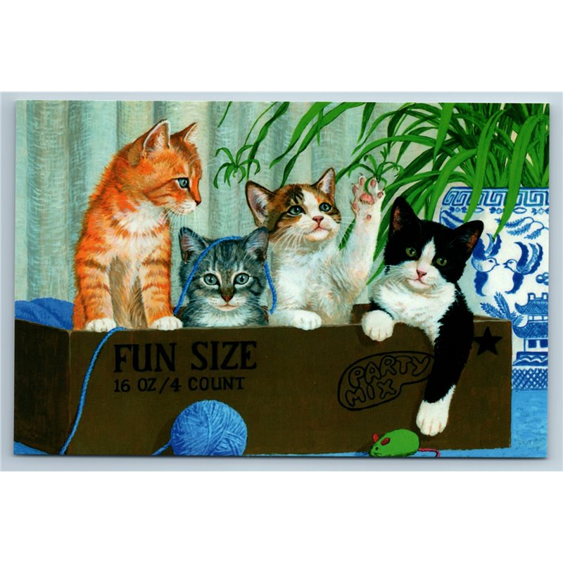 CAT Kitten in BOX Fun Size Yarn Vase Party Mix Funny Russia Modern Postcard