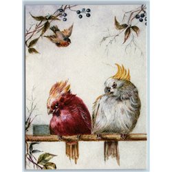 TWO PARROTS by L. Curel Hermitage Collection Russia Modern Postcard