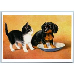 CAT and dachshund German badger-dog Germany RARE 1000 copy Russia Postcard