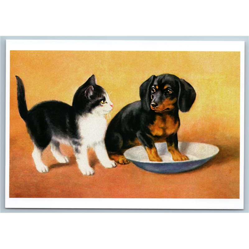 CAT and dachshund German badger-dog Germany RARE 1000 copy Russia Postcard