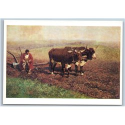 On the arable land mules bulls Peasant BORODINO Russian Soviet RARE Postcard