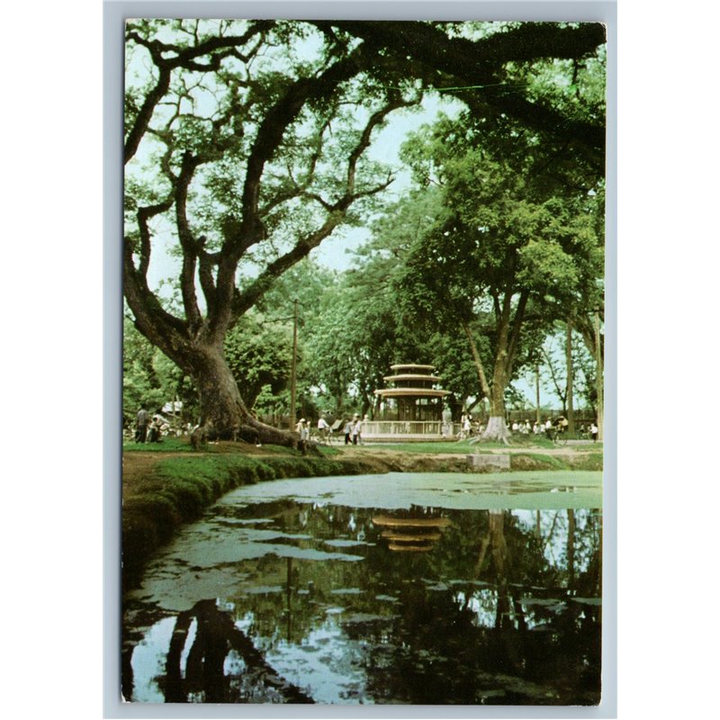 Vietnam Việt Nam HANOI The Botanical Garden Park Photo Picture Postcard