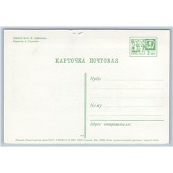 1967 NESTING DOLL Matrioshka and Elephant Toy Women's Day Soviet USSR Postcard
