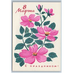 1964 PINK ROSE HIP Greetings Woman Flower by Feygina Soviet USSR Postcard