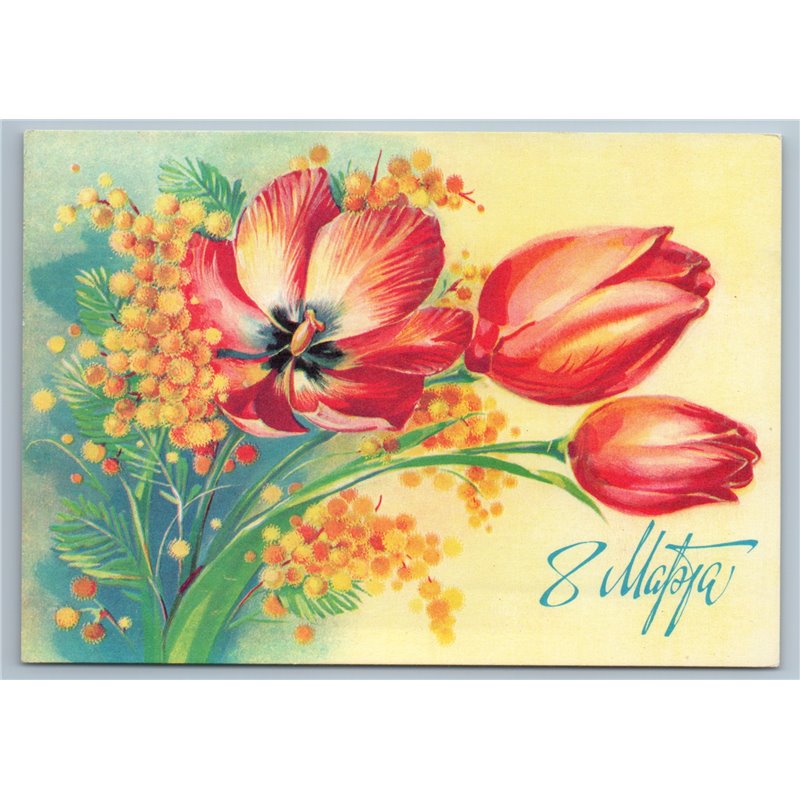 1981 BEAUTIFUL FLOWERS Tulip Greetings Woman Day by Korobova USSR Postcard